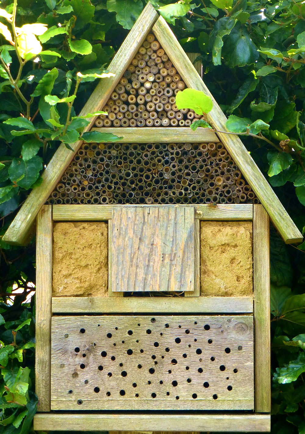 Installer hôtel à insectes - les 4 règles d'or - Hello Birdy le blog