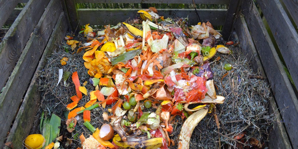 Où trouver un bac de compost pour la cuisine? Et pourquoi c'est