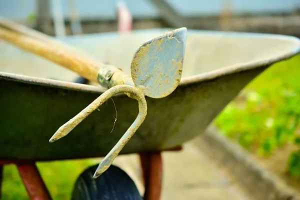 Que faire en mars au jardin