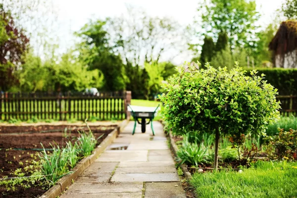 Que faire en avril au jardin