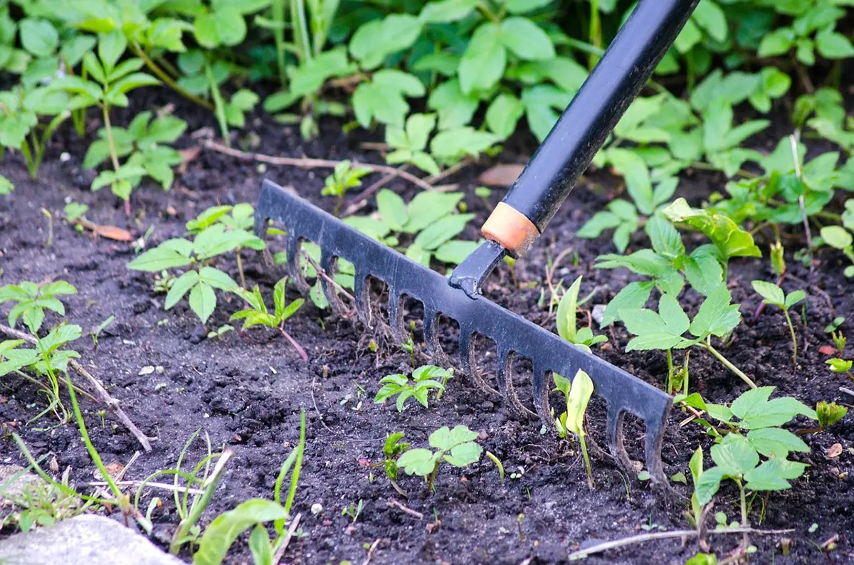 Que faire en novembre au jardin