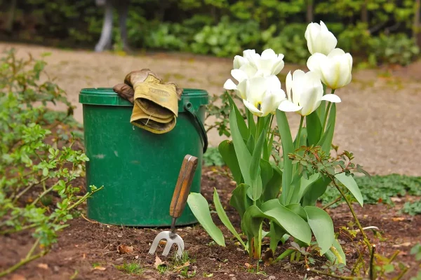 Que faire en septembre au jardin