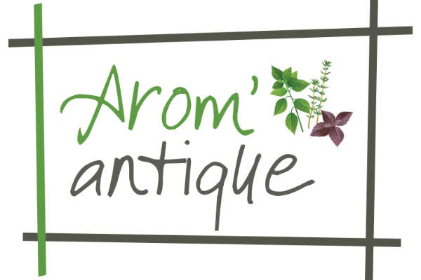 Logo Arom'antique