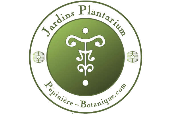 Logo Pépinière Botanique