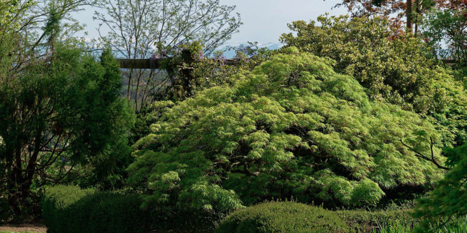 La Pépinière Botanique