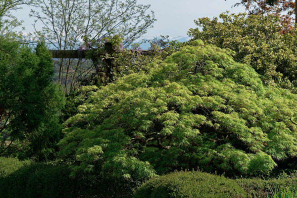 La Pépinière Botanique