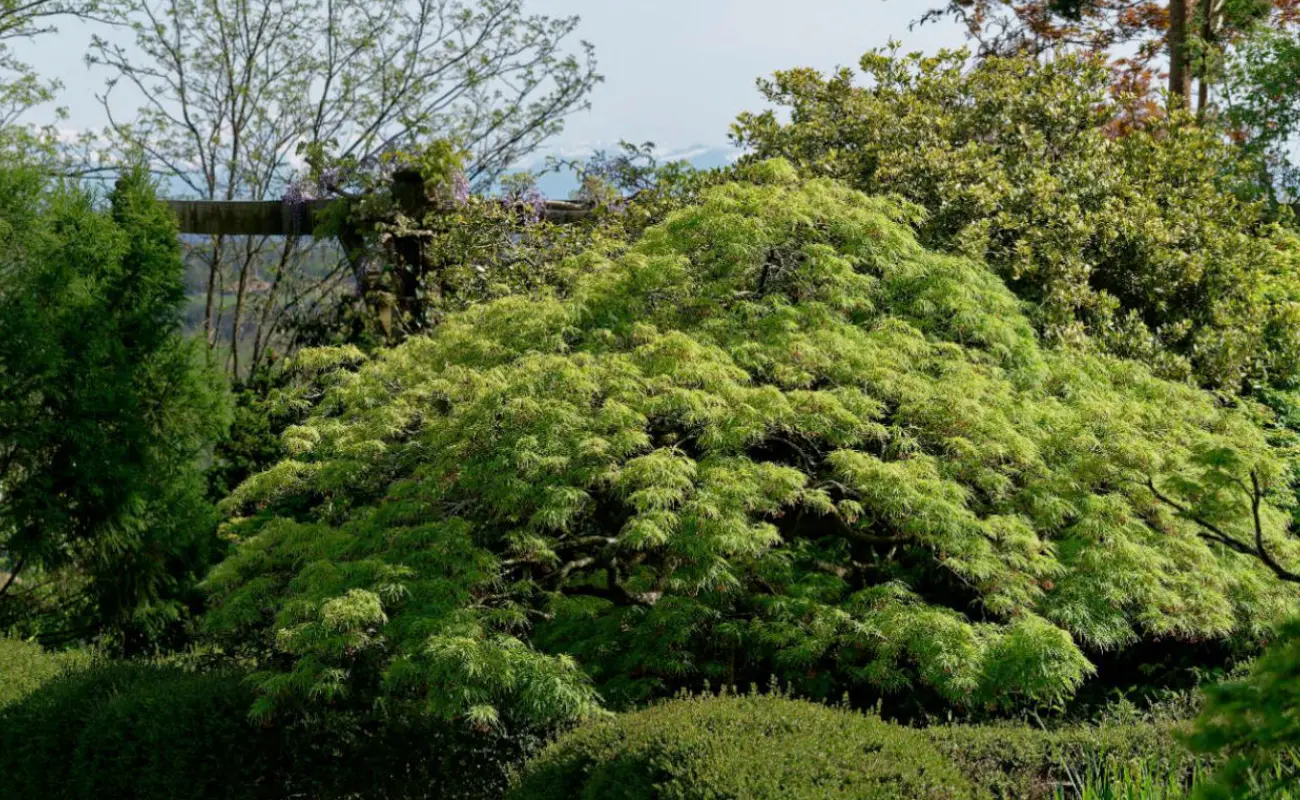 La Pépinière Botanique