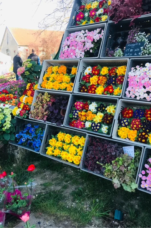 Salon du Jardin Senlis