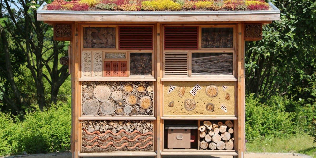 Hôtels à insectes – pour un jardin où les insectes se sentent bien