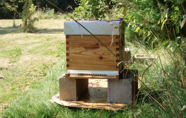 Prêt de jardin contre installation de ruche