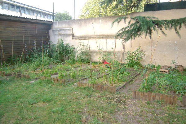 Cojardinage en plein coeur de Toulouse