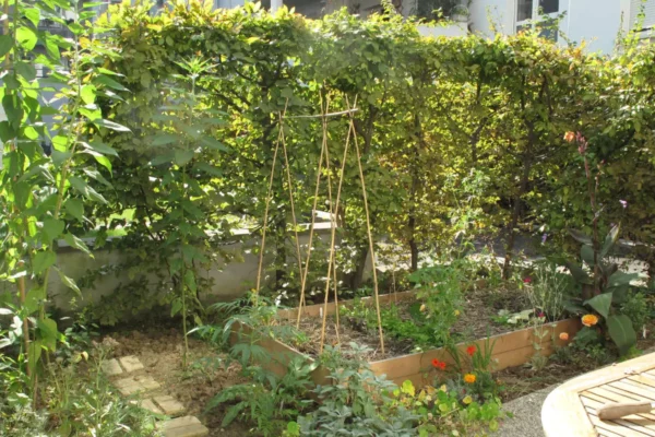 Les espaces verts du foyer cultivés à Paris