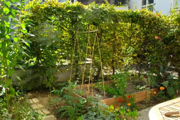 Les espaces verts d'un foyer enfin cultivés !