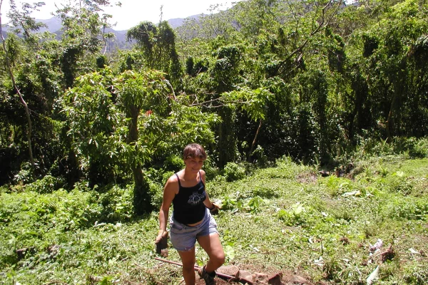 Partage de jardin en Guadeloupe