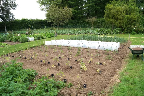 Un potager partagé lauréat du plus beau potager de France