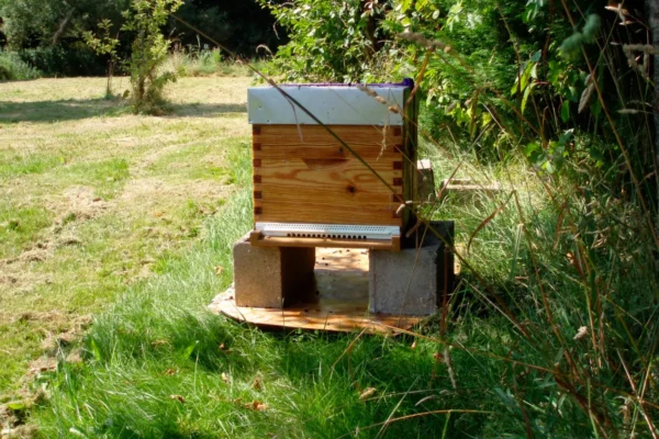 Prêt de jardin contre installation de ruche