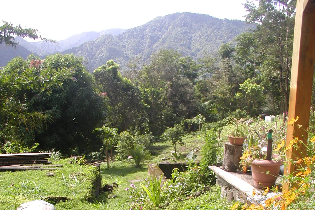 Proposition de cojardinage en Guadeloupe