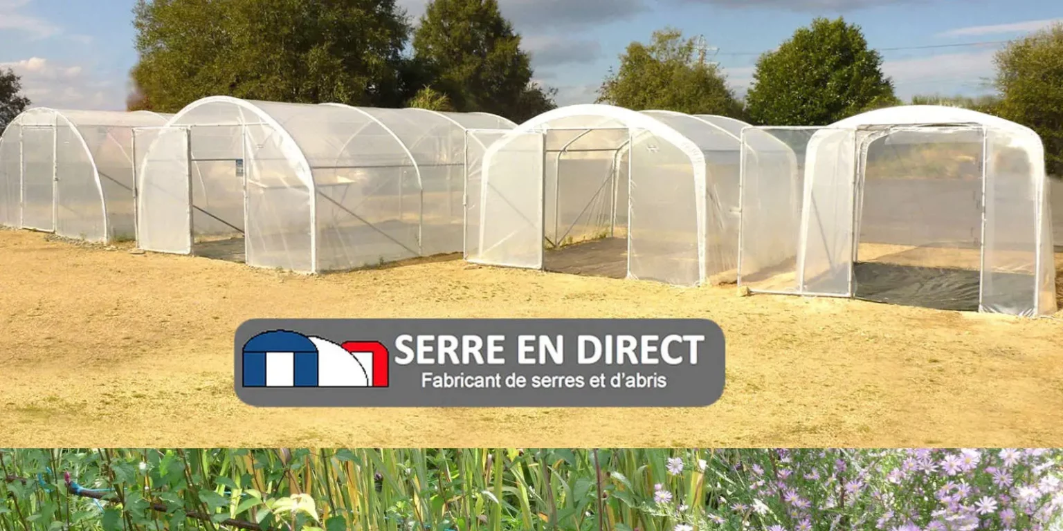 Fabricant serres, Serre en direct