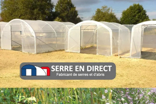 Fabricant serres, Serre en direct