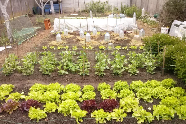 Témoignage d'Isabelle qui prête son jardin