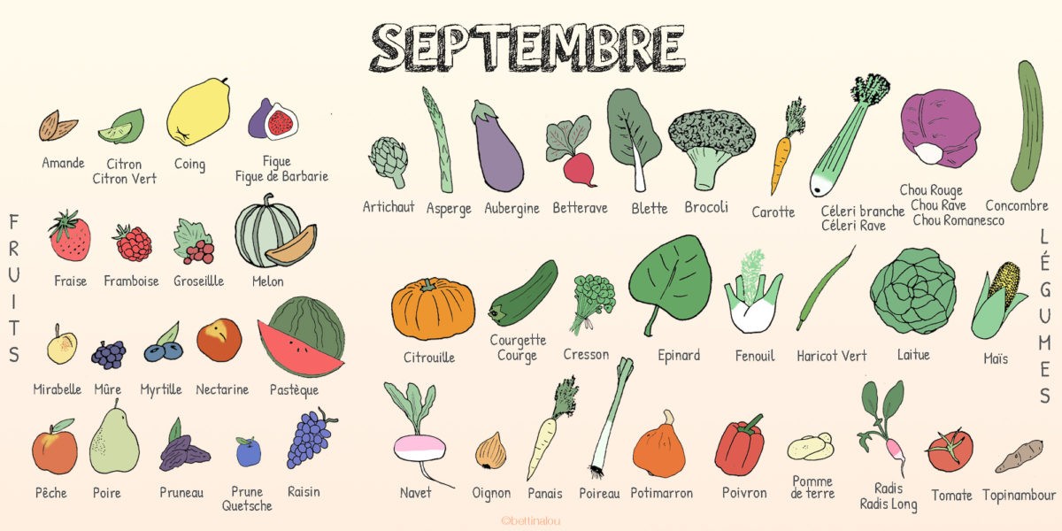 Les fruits et légumes de septembre - Fiches pratiques du jardin