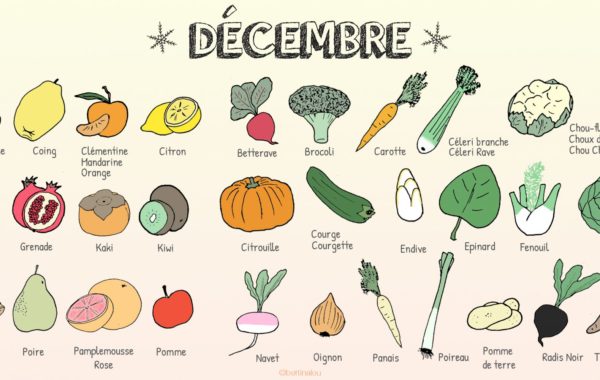 4 conseils pour conserver vos fruits et légumes de saison - Blog Festihome