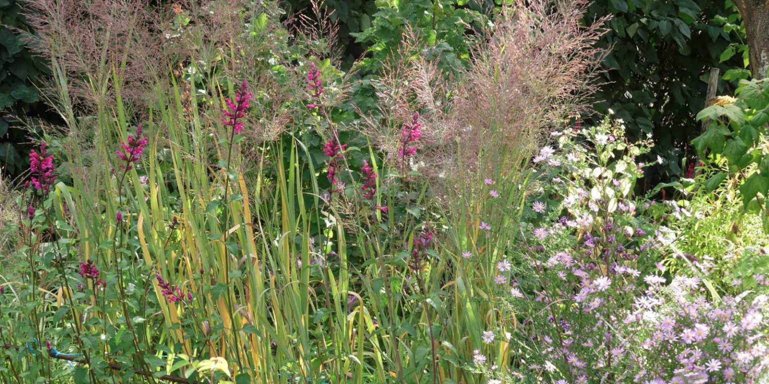 Les Jardins d'Ollivier