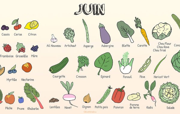 Les fruits et légumes de janvier - Fiches pratiques du jardin