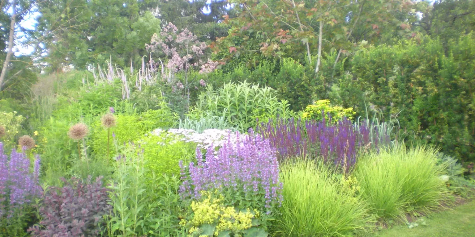 Le Jardin d'Adoué