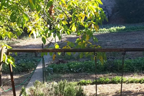 Rémi et Noël se sont rencontrés grâce au cojardinage