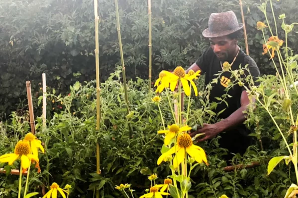 Témoignage de cojardinage de David et Claudine