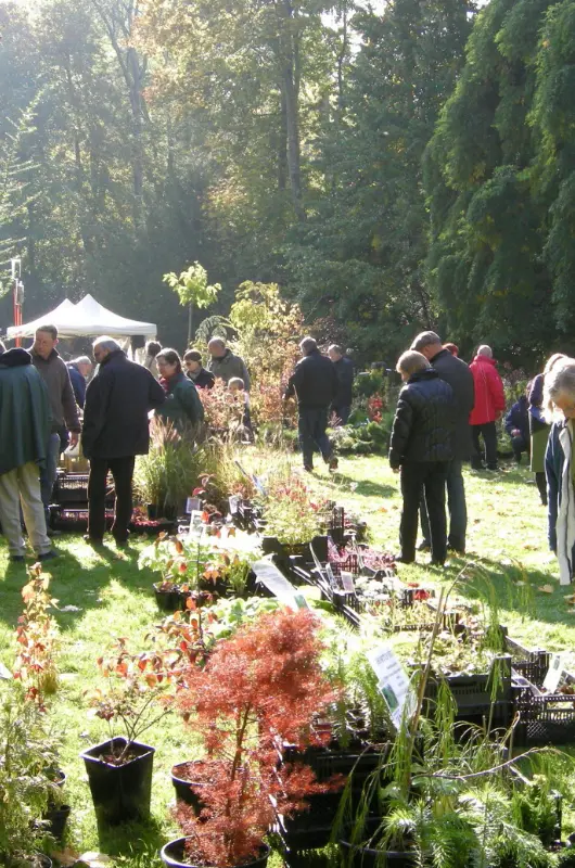 Foire aux plantes et marché aux arbres Brazey-sur-Plaine