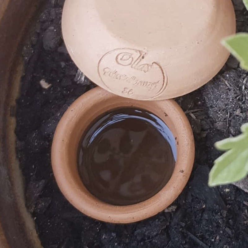Ollas à enterrer 2,5 L - poterie d'arrosage pour plantes, arbustes