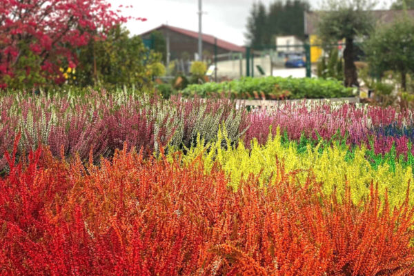 Jardinerie Les Jardins Comtois