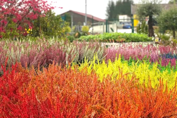 Jardinerie Les Jardins Comtois