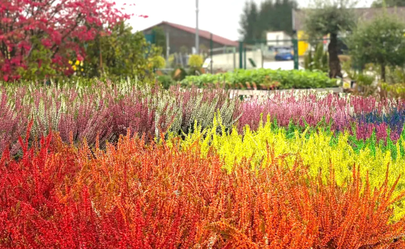 Jardinerie Les Jardins Comtois