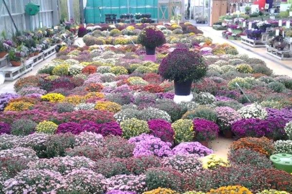 Jardinerie Les Jardins de Beaune