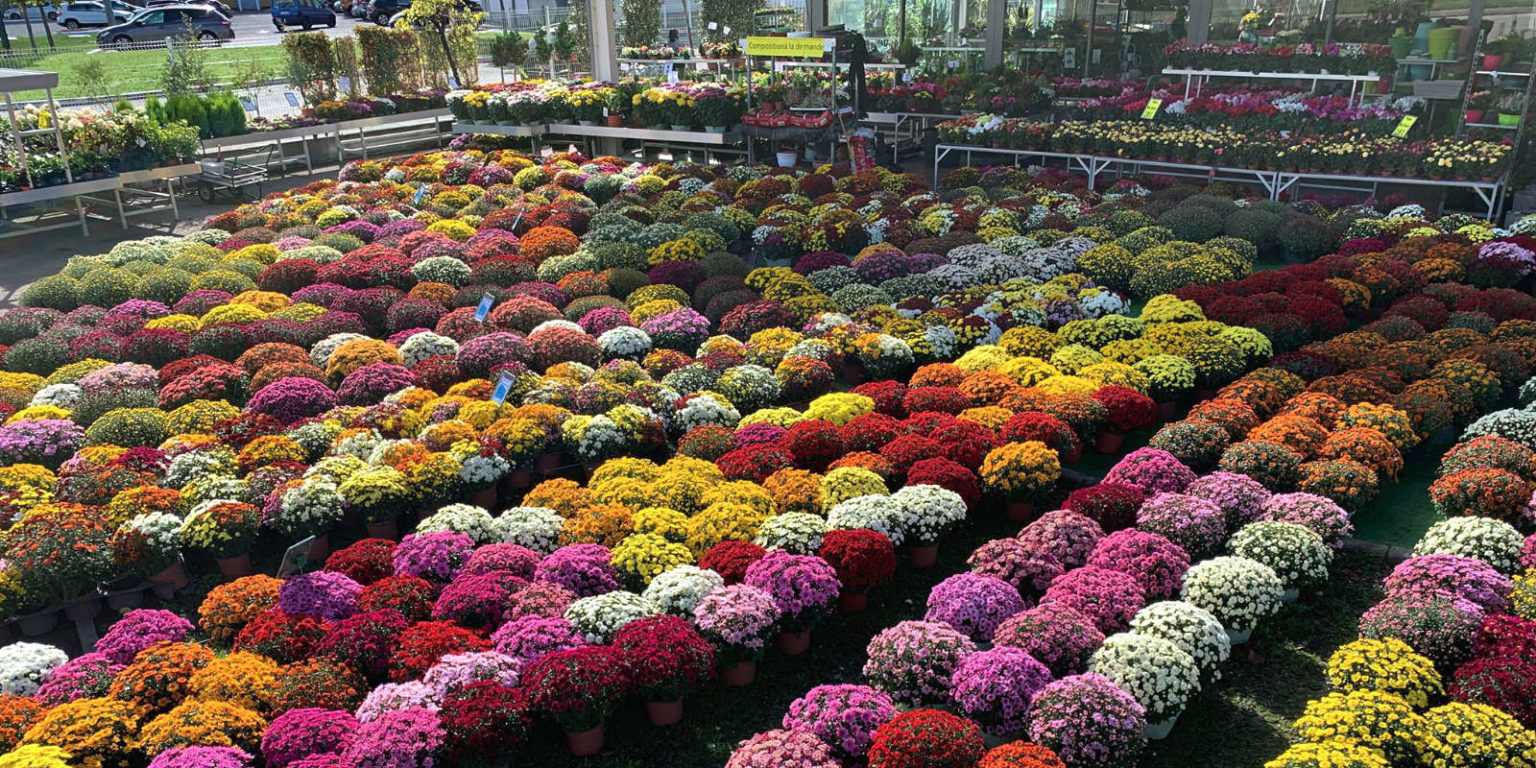 Jardinerie Les Jardins de la Cotière