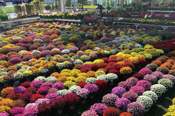 Jardinerie Les Jardins de la Cotière