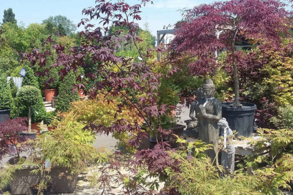 Jardinerie Pépinières du Cap Vert