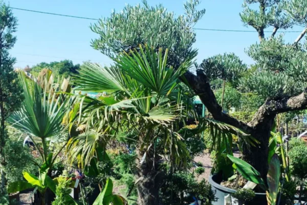 Les Jardins de Grand Lieu