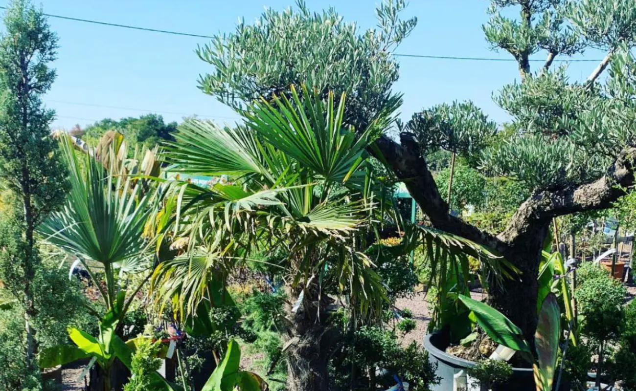 Les Jardins de Grand Lieu