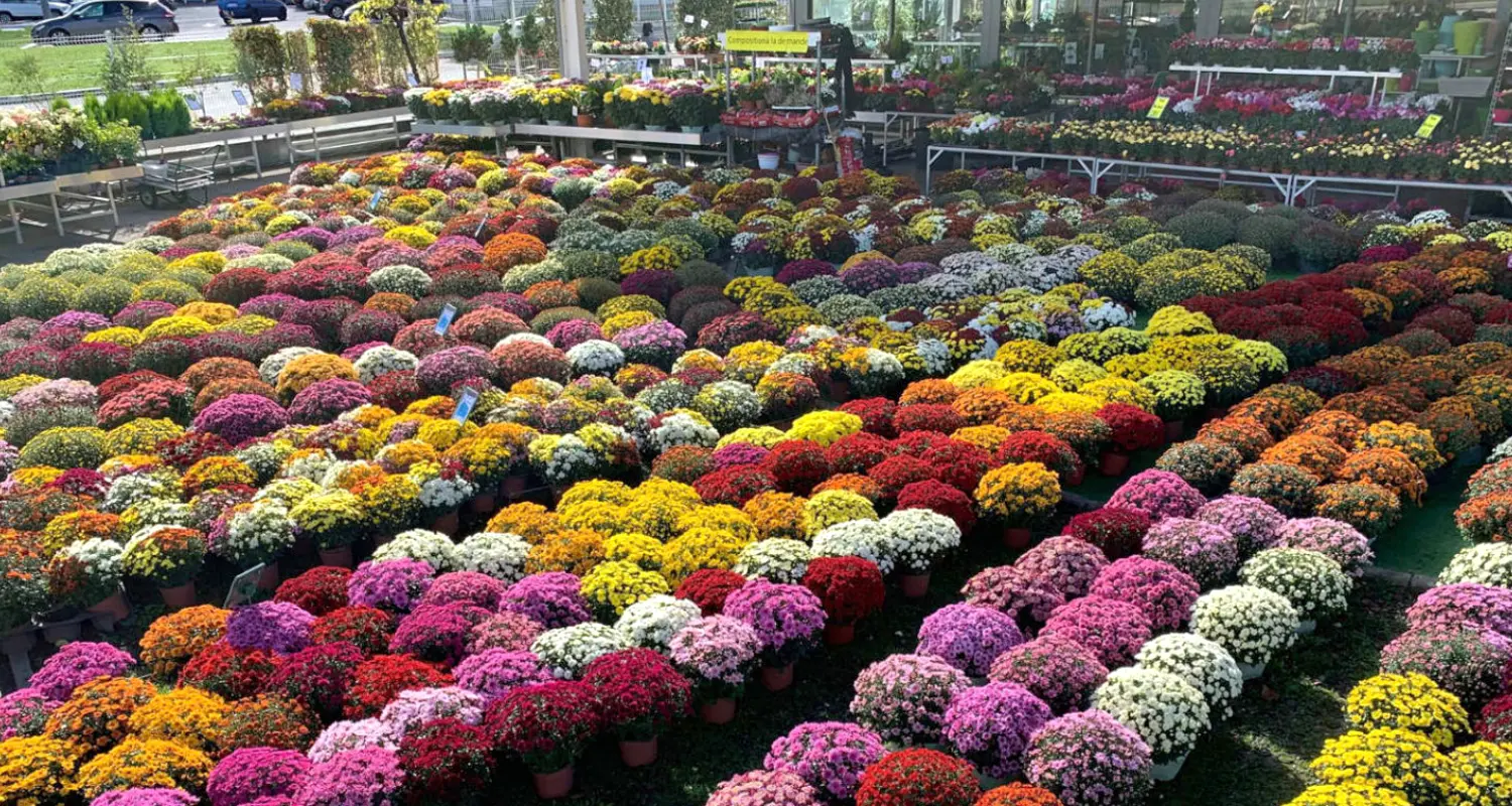 Jardinerie Les Jardins de la Cotière