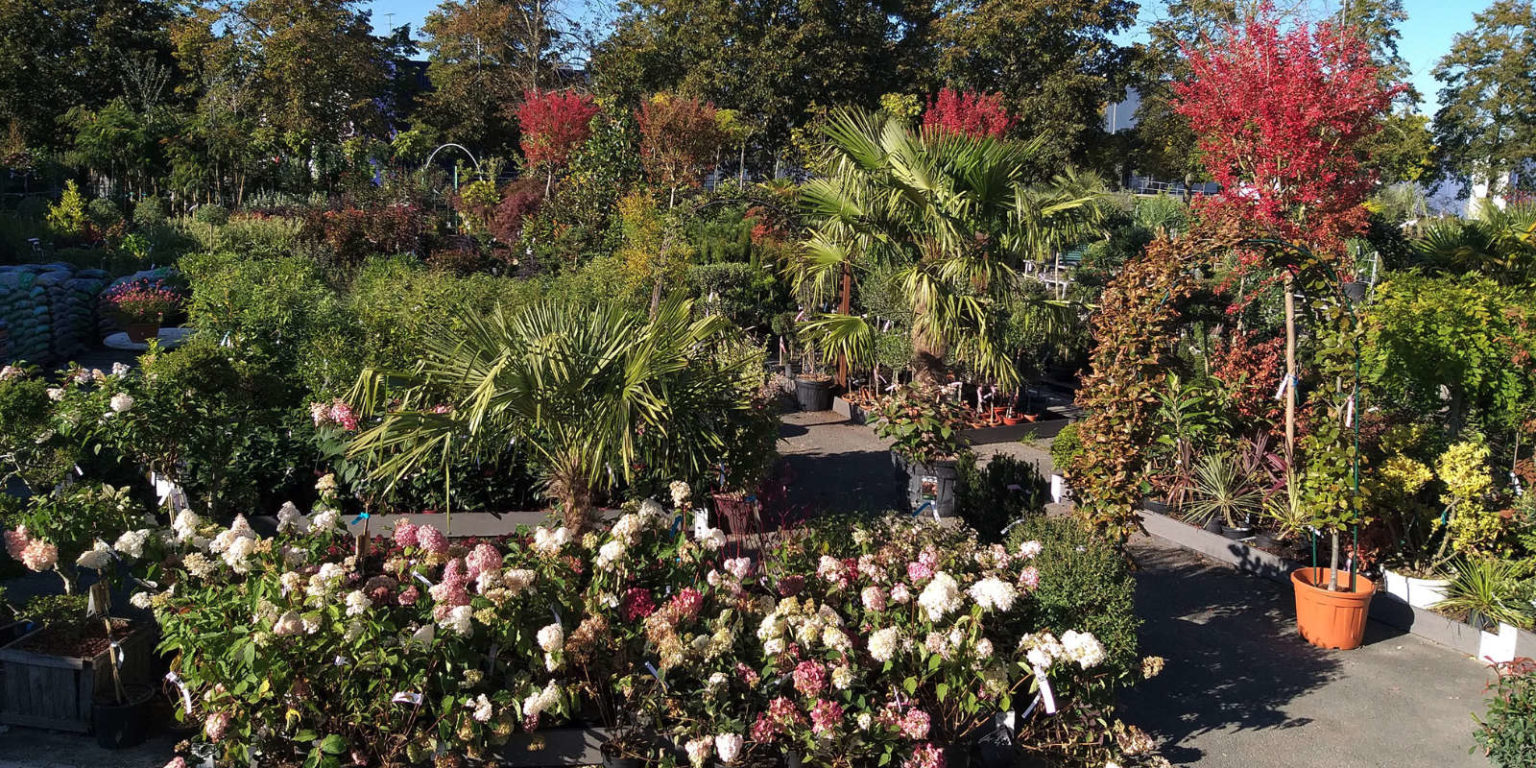 Les Jardins de Maryline