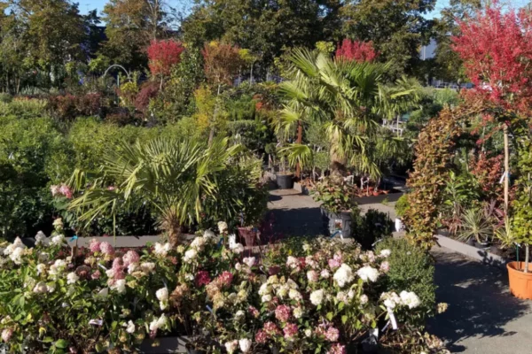 Les Jardins de Maryline