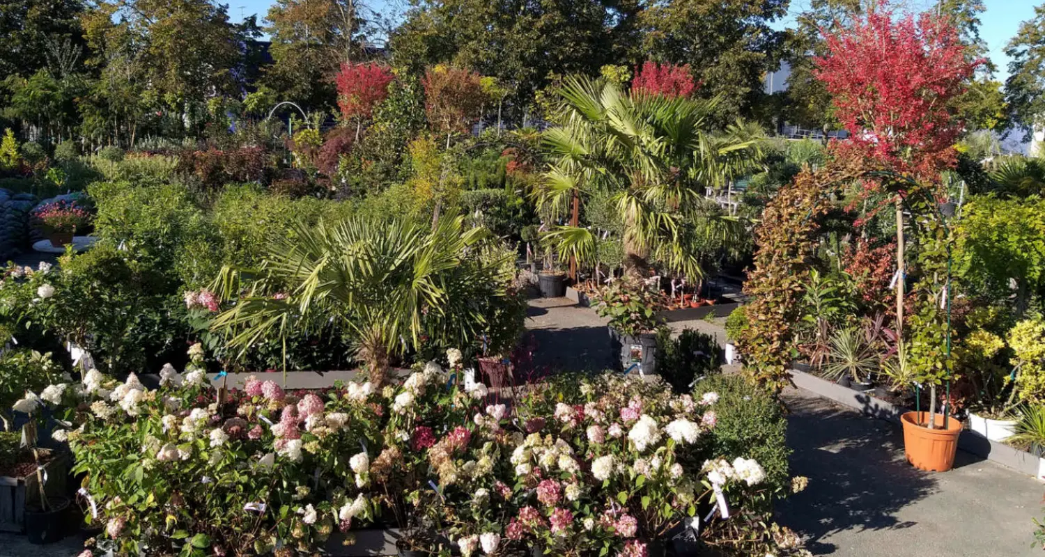 Les Jardins de Maryline