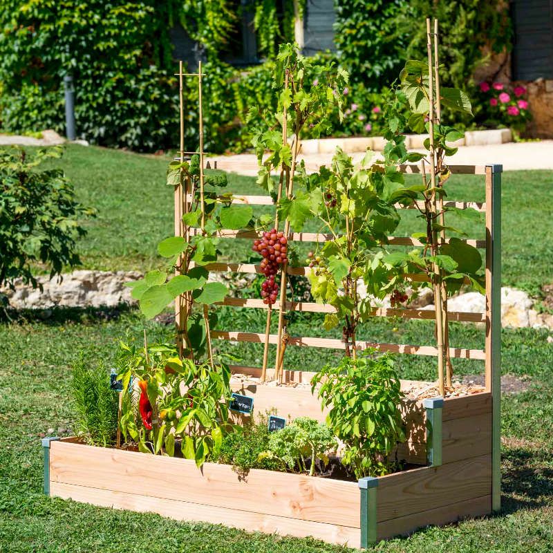 https://www.plantezcheznous.com/wp-content/uploads/2020/02/jardiniere-potagere-en-bois.jpg