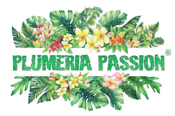 Logo Plumeria Passion