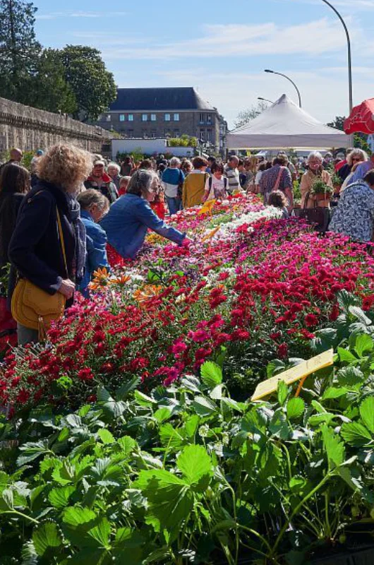 Marché des fleurs de Quimper