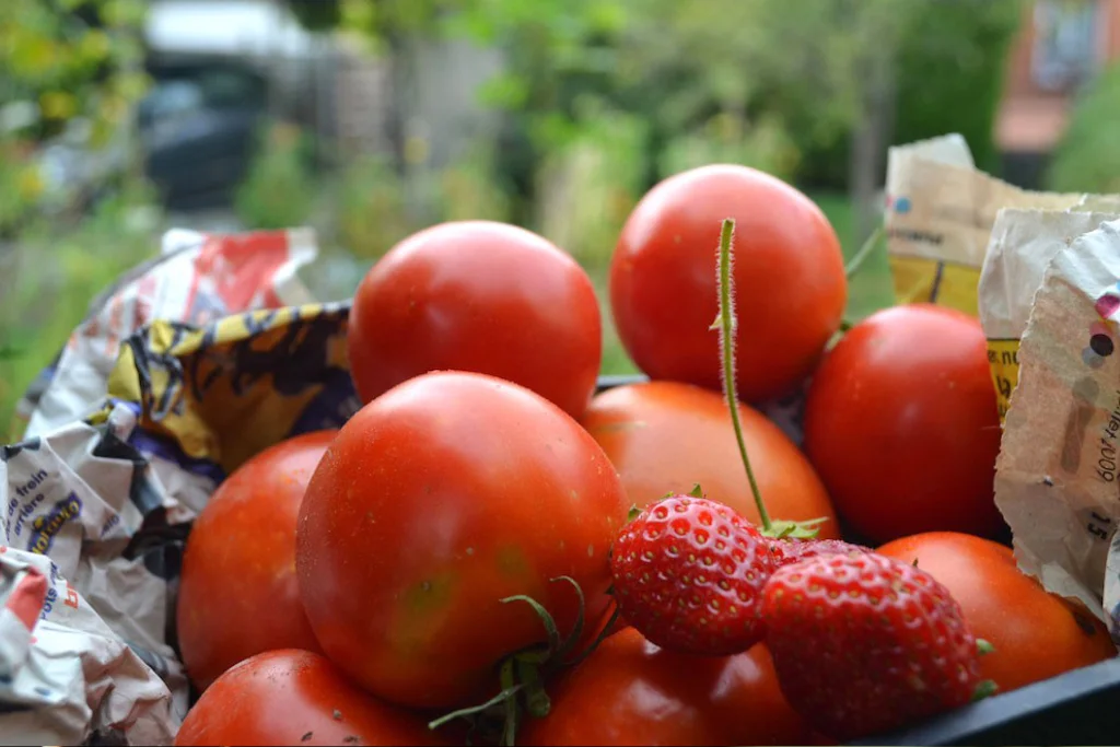 Le cojardinage d'Alex et Lucien